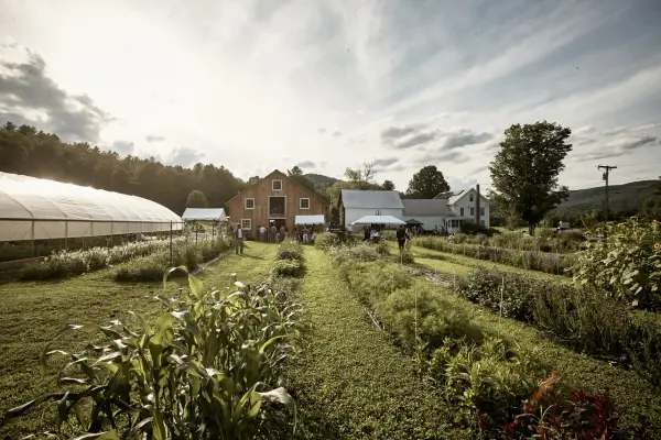 Farmhouse Flowers event space