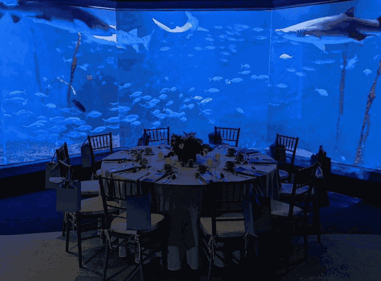 The Maritime Aquarium photo 4