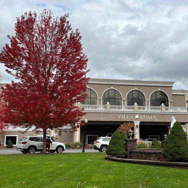 The Villa Roma event space